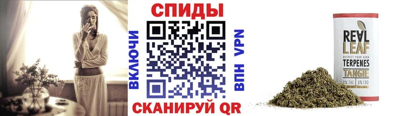 ОМГ ОМГ ТОР  Солигалич  Бутират 99% 