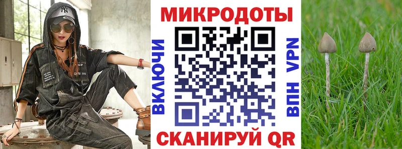 Галлюциногенные грибы мицелий  Солигалич 