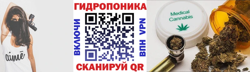где можно купить наркотик  Солигалич  Каннабис гибрид 